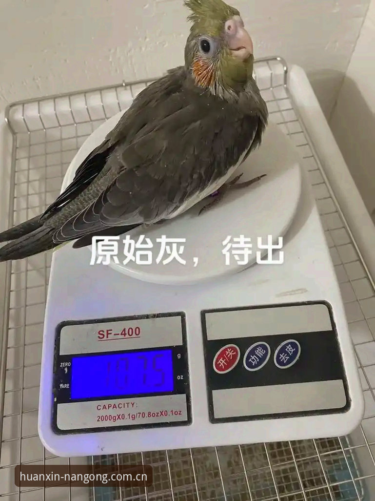南宫28官网：赛事数据不是越多越好，而是够快才有用——全面解析南宫官方中文站赛事数据推荐的核心逻辑